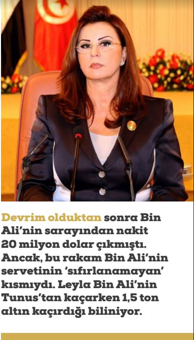 bin ali altın