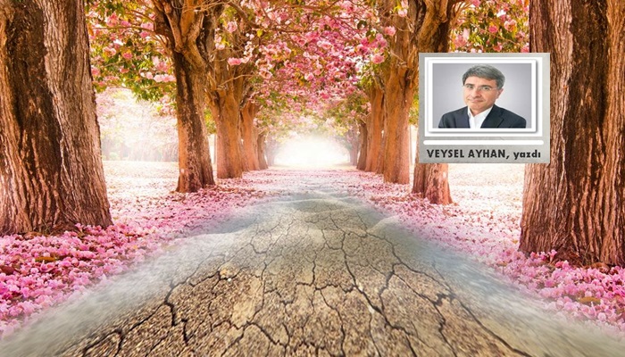veyhan görsel