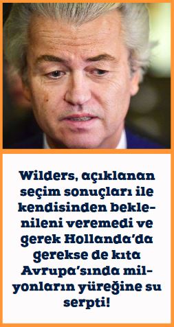 wilders spot