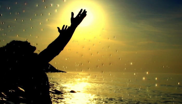 Kanada’ya yerleşen karı kocanın kaleminden: ‘Türkiye’ye veda yazısı’