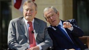 bush