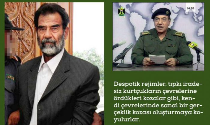 algı despot