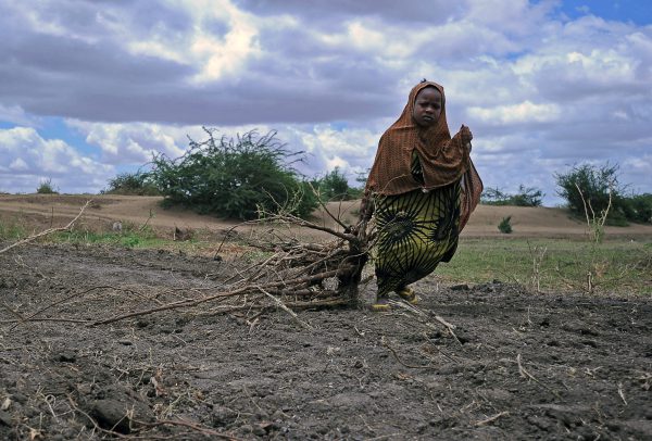 A Somali girl drags bundles of firewood for use as fuel for cooking on October 8,2015 in Jowhar town, some 90km north of the Somalis capital Mogadishu. AFP PHOTO/MOHAMED ABDIWAHAB / AFP PHOTO / MOHAMED ABDIWAHAB