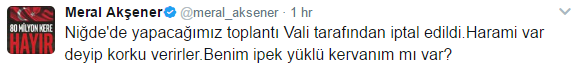 akşener2