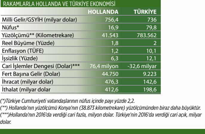 hollanda türkiye kıyası