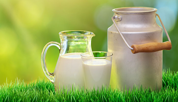 Az yağlı mı, yarım yağlı mı, yoksa yağsız mı içelim…