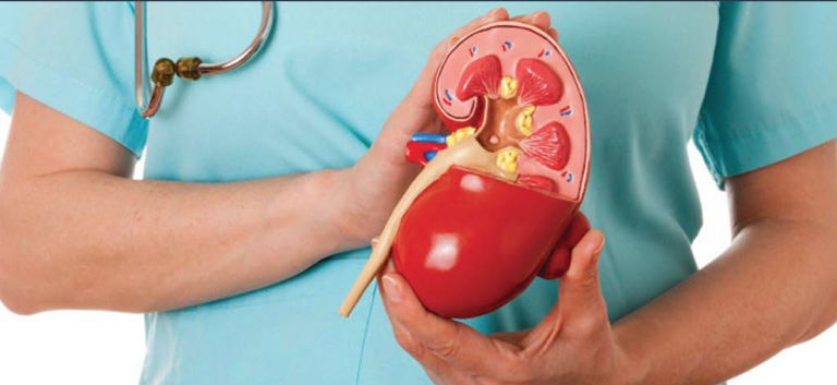 Böbreğinizin gönderdiği sinyalleri dikkate alın!