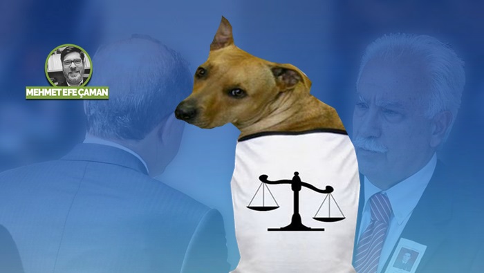 Hukuk siyasetin köpeğidir