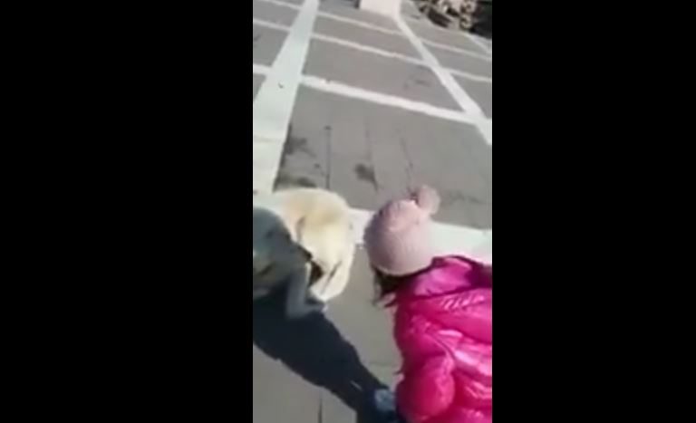 Adliye bahçesinde dram: ‘Köpek, annem nerede?’