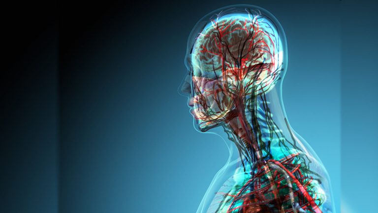 İnsan vücudunda yeri bir ‘organ’ keşfedildi