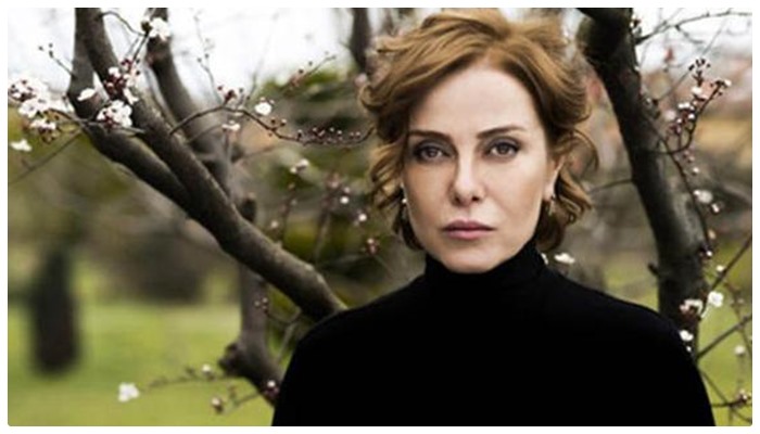 Zuhal Olcay’a Erdoğan’a hakaretten hapis cezası: Cezaevine girecek