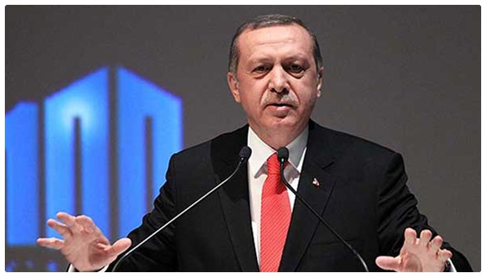 erdoğan ekonomi