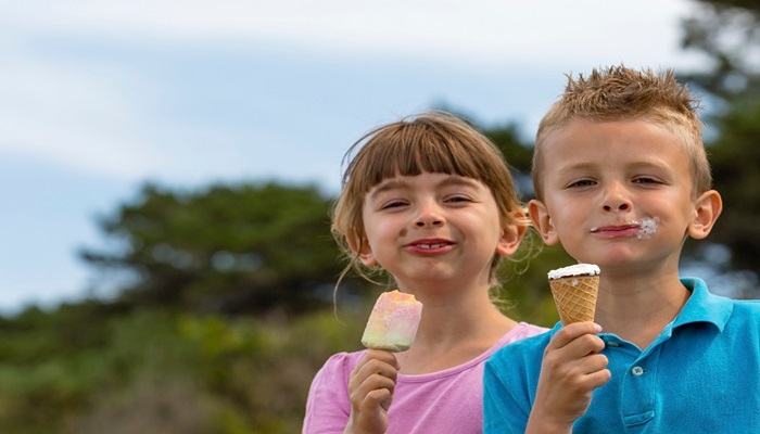 Dondurmayı ısırarak yemeyin!
