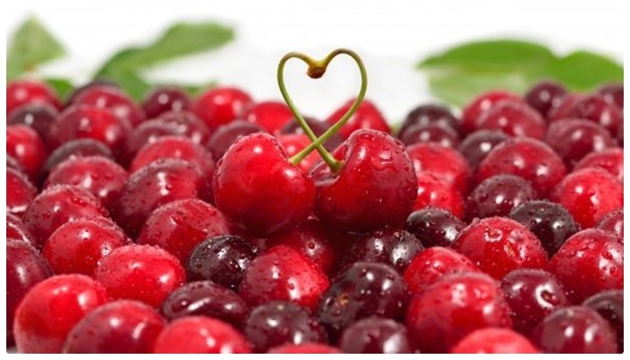 Rusya, Türkiye’den gelen 85 ton kirazı ülkeye sokmadı