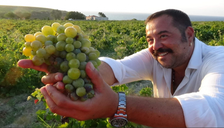 Kargalar yimeden ‘çavuş üzümü’nü sen yi