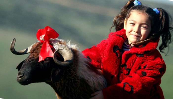 Kurban fiyatları ne kadar?