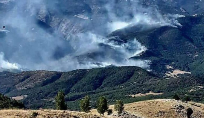 Dersim dağları günlerdir yanıyor; devlet seyrediyor