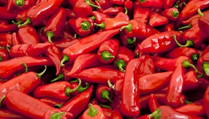 Acıyı da ithal ediyoruz: Türkiye Özbekistan’dan 350 milyon dolarlık kırmızı biber satın alacak