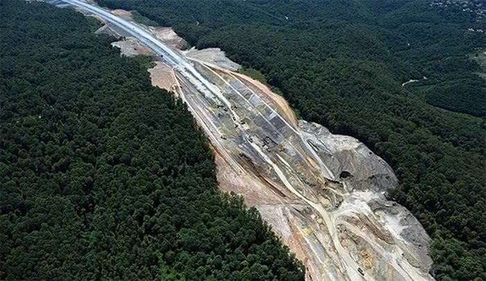 Türkiye’de kavşaklara dikilen fidanlar artıyor, ormanlar ise azalıyor