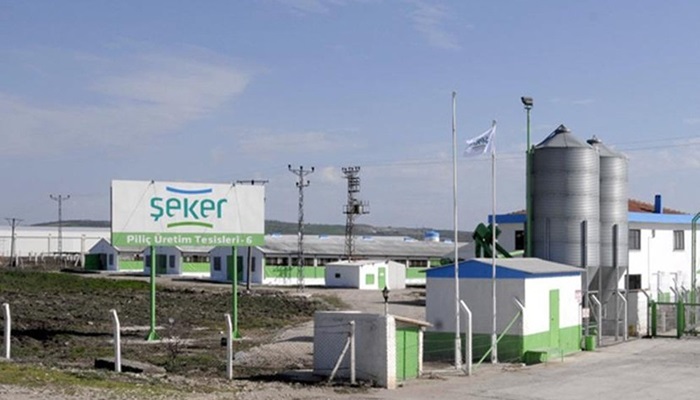 Şeker Piliç’in sahipleri tutuklandı