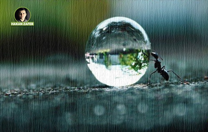LA HAVLE…