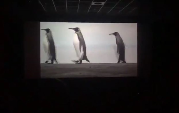 Saadet Partisi, ‘Sülün Osman’ yasaklanınca penguenli reklam filmi çekti