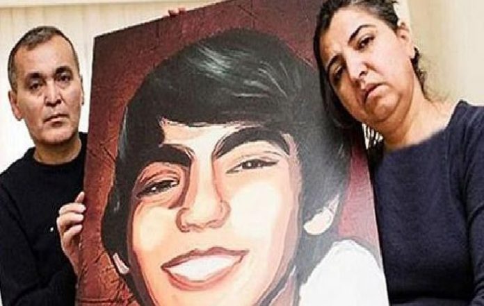 berkin-elvan-istanbul-sorusturma-gezi