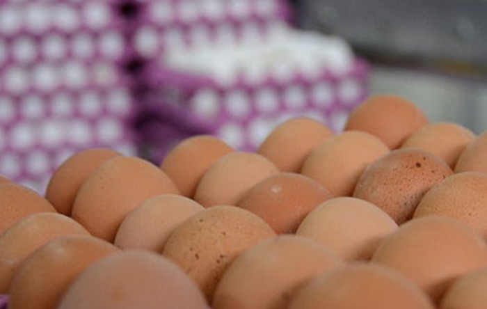 İngiltere’de süpermarketlerde yumurta satışına 3 kutu sınırlaması