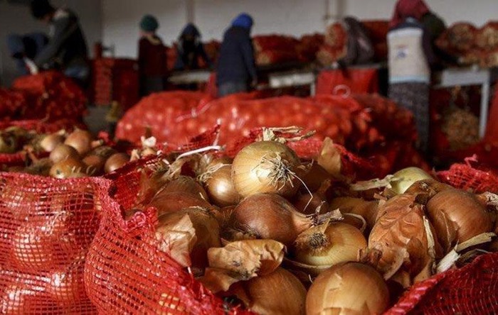 Kilosu 10 TL’ye çıkan soğanda sıfır gümrük vergisi tekrar uzatıldı
