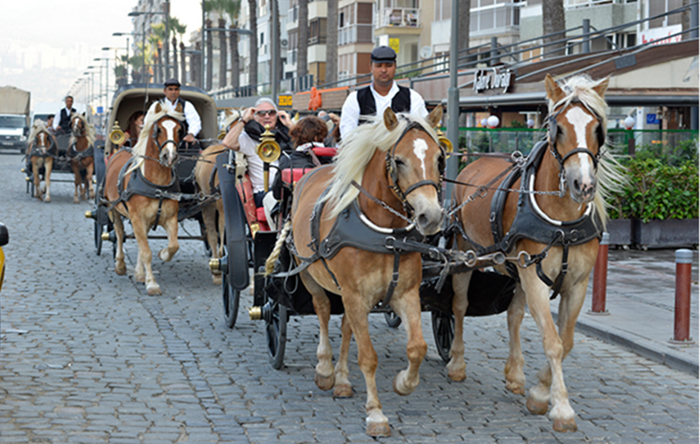 İzmir’de faytonlar kaldırılıyor, atlar özgür yaşayacak