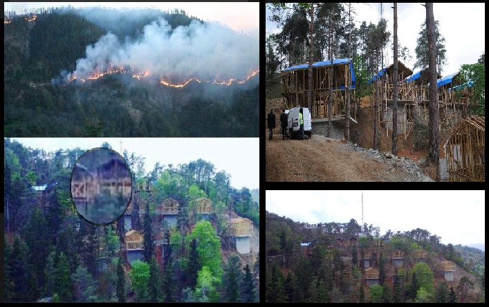 Sürmene’de yanan orman arazilerinde köşkler boy attı