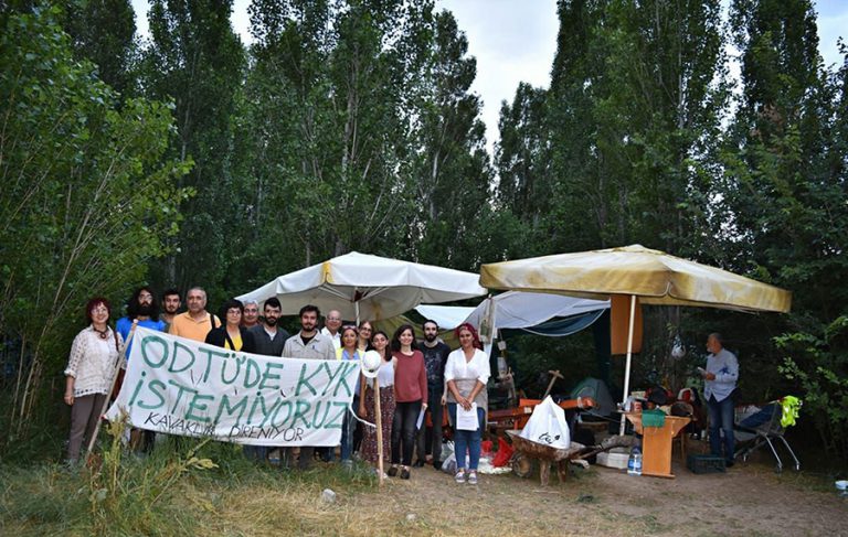 Direniş sonuç verdi, ODTÜ’de ağaç kesimi durduruldu