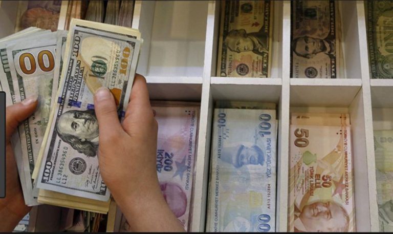 Türk Lirası hafta sonu yüzde 2,1 değer kaybetti