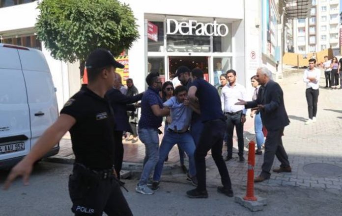 hdp'li vekil, gaz, van