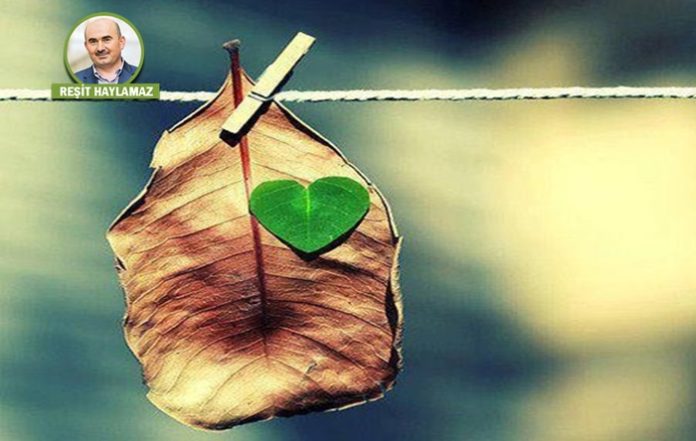 kalb-manevi-benslenme-tr724