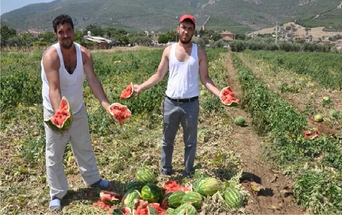 ‘Misafirliğe giderken kola değil, karpuz götürün’
