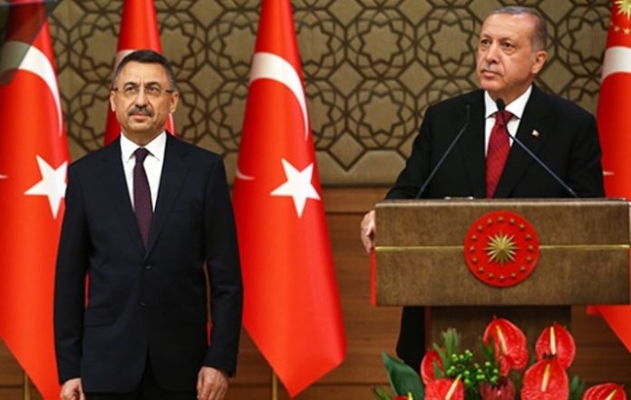 erdoğan fuat oktay, anayasa