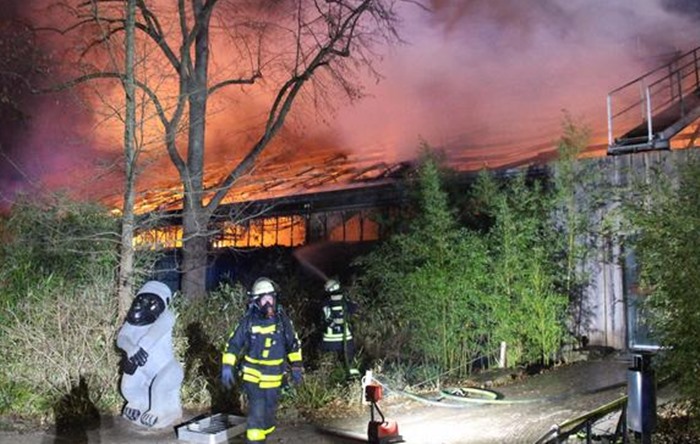 Almanya’da hayvanat bahçesinde yangın: “30’dan fazla orangutan, şempanze ve goril telef oldu”