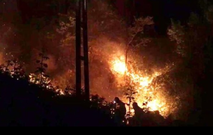 Rize’de orman yangını rüzgârın etkisiyle kontrolden çıktı!