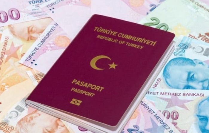 Almanya ülkedeki Türklerin, Türkiye’deki hesaplarına ulaşabilecek: Tarih belli oldu!