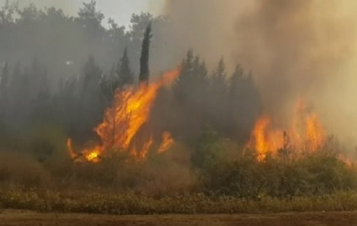 Hatay’ın ardından Kahramanmaraş’ta 4 ayrı noktada orman yangını
