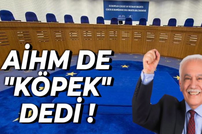 AİHM de ‘köpek’ dedi | Nöbetçi Editör, Bülent Korucu