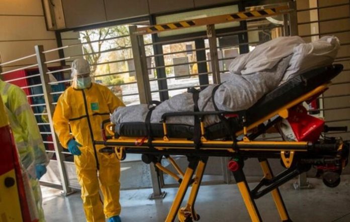 belçika, ölüm, konona