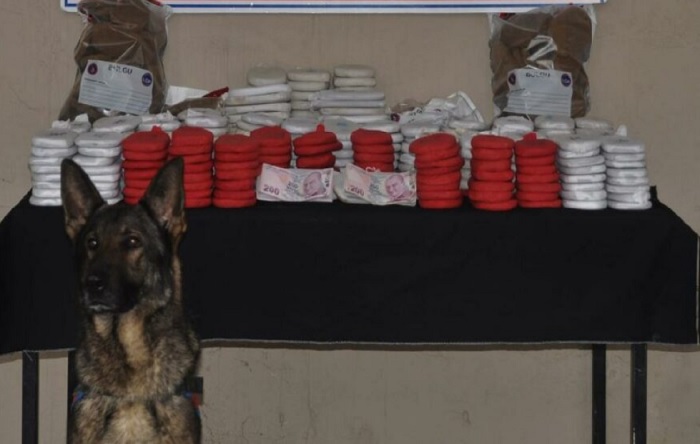 Hatay’da karakol komutanı 82 kilo uyuşturucuyla yakalandı