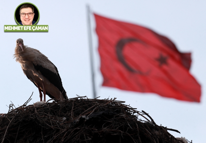 ‘Etnik Türklük’ konsepti ve Türk dış politikası