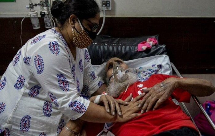 Kara mantar hastalığı Meksika’ya sıçradı