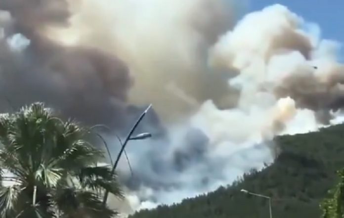 marmaris yangın