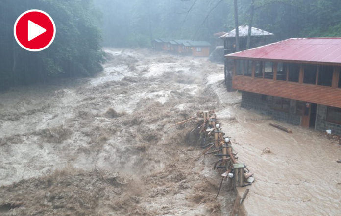 rize-findikli-sel