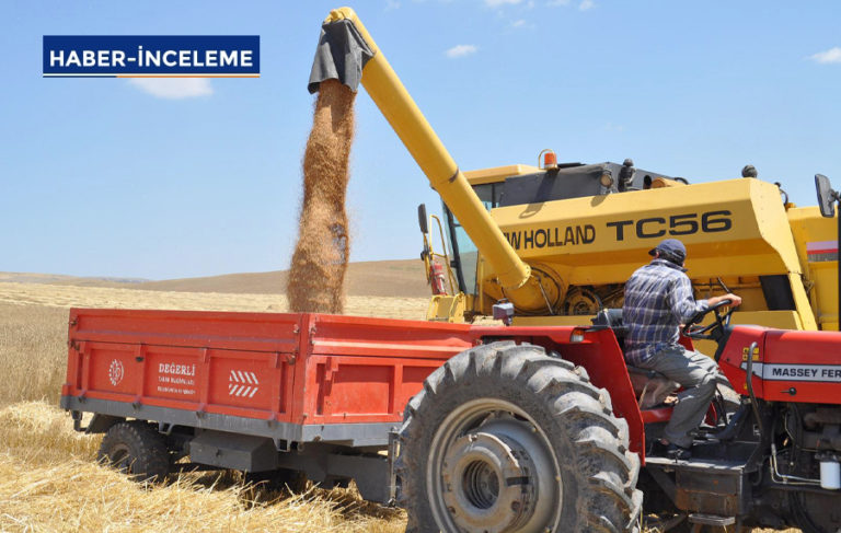 1 kilo buğdayın üretim maliyeti 5 TL’ye dayandı… Çiftçi nakavt!