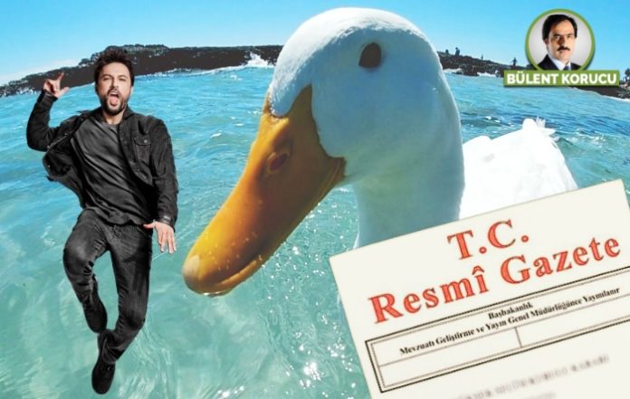 duck1